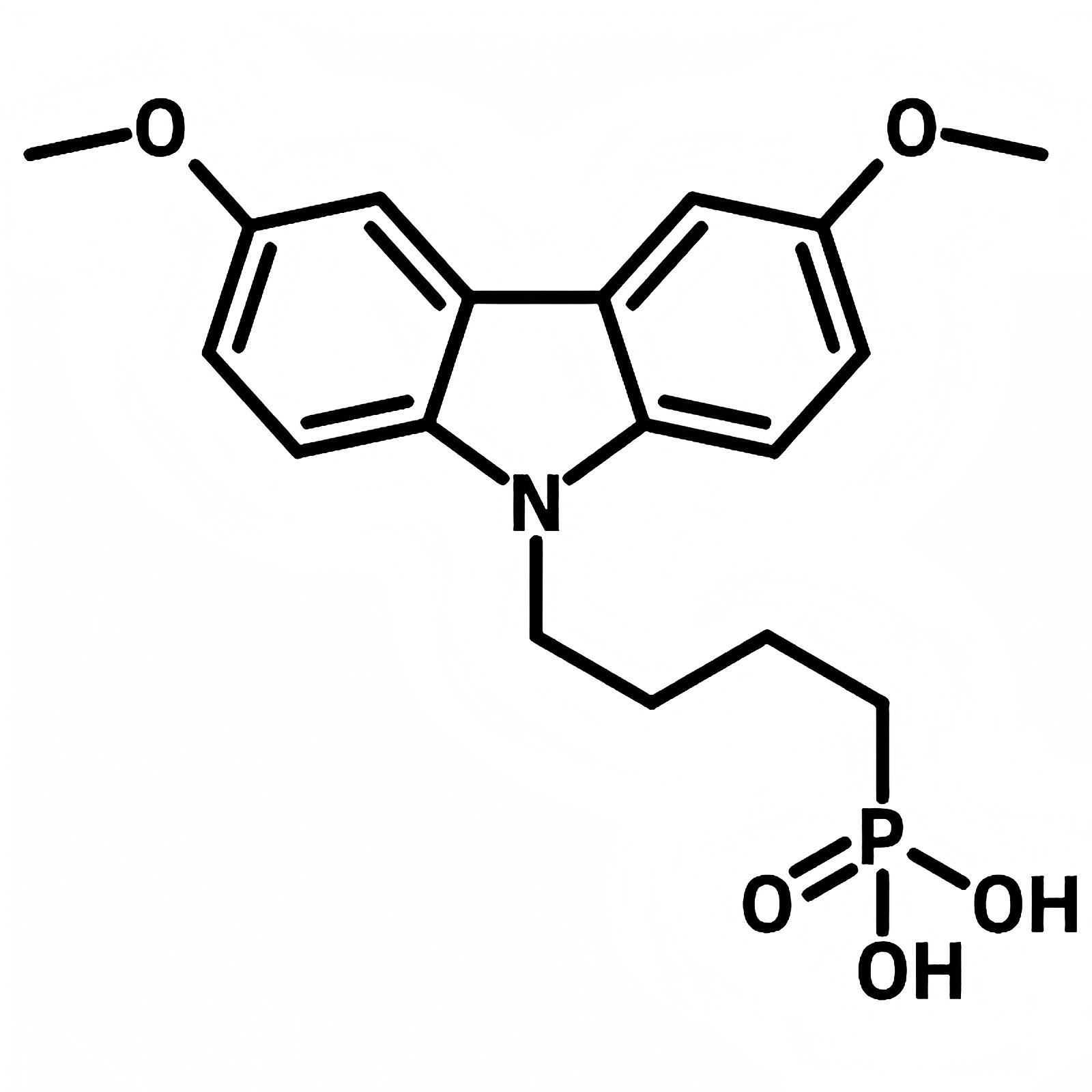 动物解剖器械