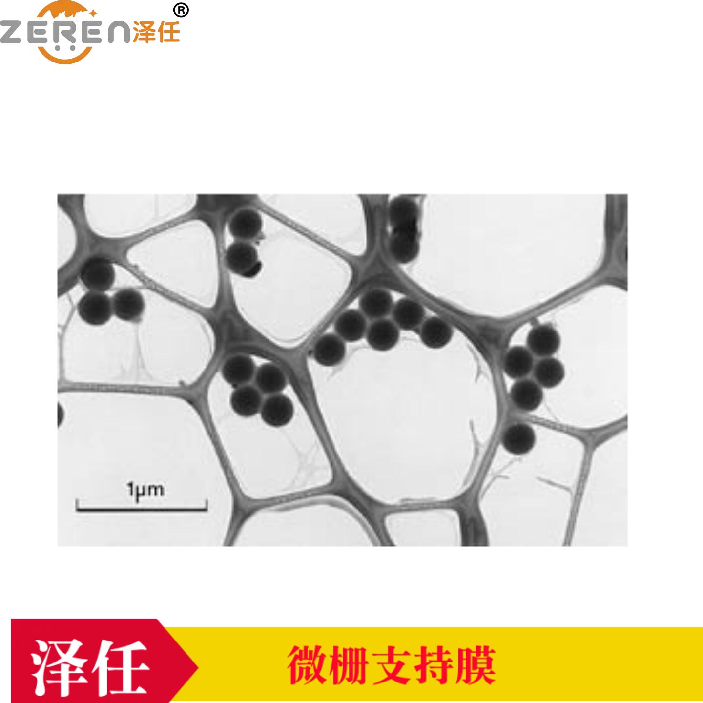 200目镍网微栅支持膜01882N-F