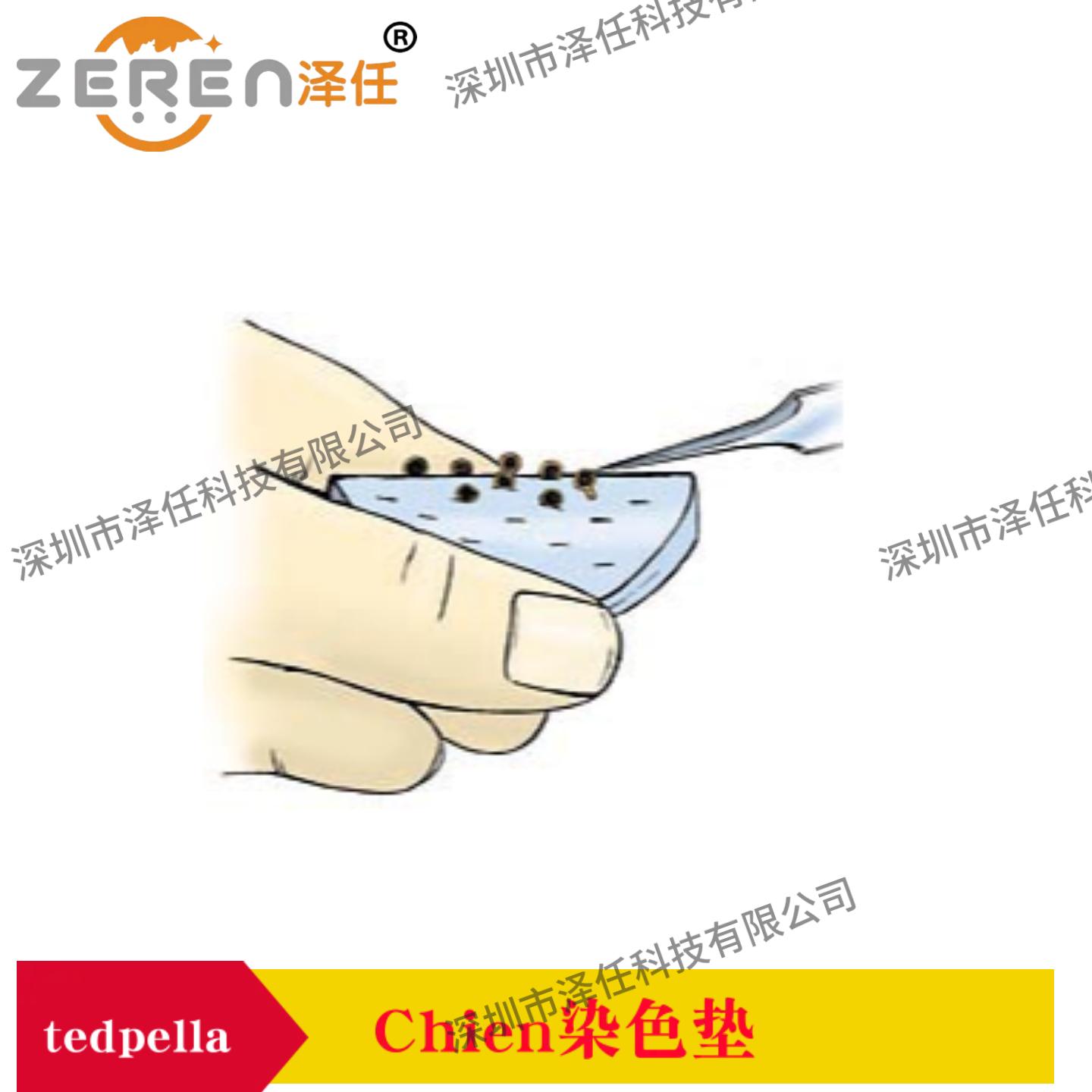 动物解剖器械