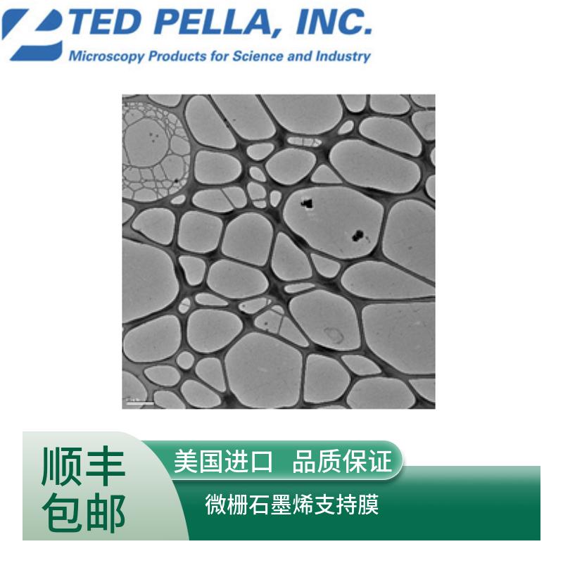 ted pella微栅石墨烯支持膜21710-25